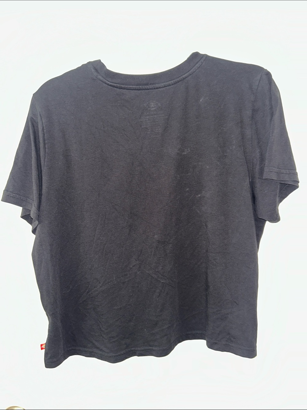Dickies Black Cropped T-Shirt - Picture 4 of 4